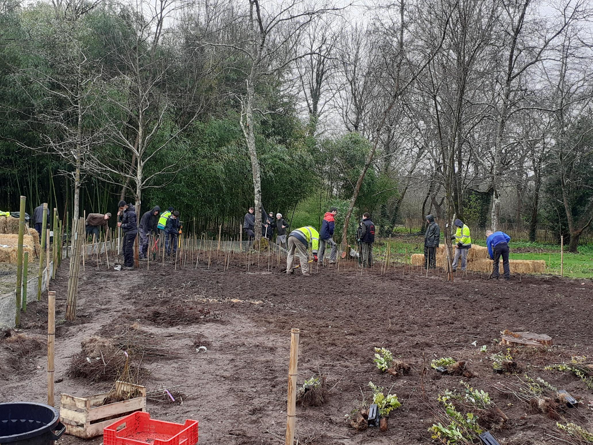Chantier_microforêt_plantations_parcelle2
